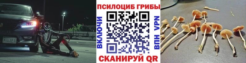 MEGA ТОР Чернушка Галлюциногенные грибы GOLDEN TEACHER